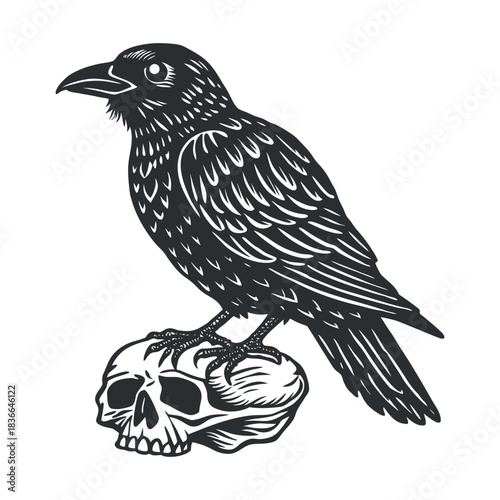 Vector illustration of a black silhouette bird like a crow or raven perched on a branch, featuring feather detail and a sharp beak, suitable for wildlife design and art