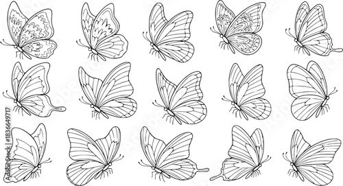 Butterfly vector illustration set, line art style, Butterflies in various poses. Perfect for spring, summer designs, invitations. Butterfly outline sketches of nature’s delicate, elegant insect