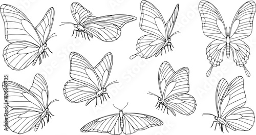Butterfly vector illustration set, line art style, Butterflies in various poses. Perfect for spring, summer designs, invitations. Butterfly outline sketches of nature’s delicate, elegant insect