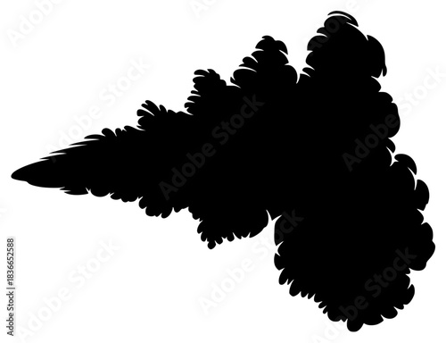 A black and white silhouette of a cloud-like shape, bird, black, crow, eagle, flight, fly, illustration, pigeon, profile, spread, wing, against transparent background