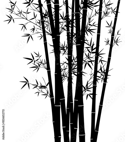 A black and white silhouette of a group of bamboo trees with leaves, bamboo, bamboo forest, black, illustration, profile, stem, white, against transparent background