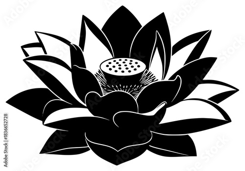 A black and white illustration of a lotus flower, black, flower, icon, illustration, lotus, petal, profile, water lily, white, against transparent background