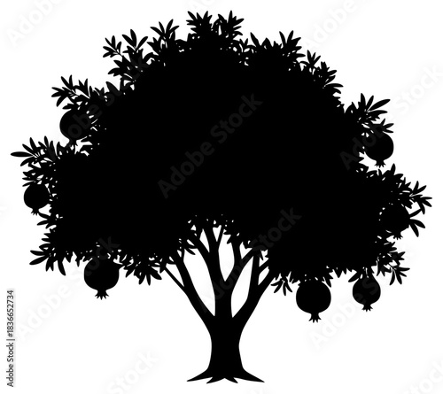 A black silhouette of an olive tree with pomegranates hanging from branches, black, fruit, illustration, orange tree, profile, tree, against transparent background