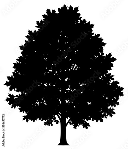 A black and white silhouette of a large tree, black, illustration, profile, tree, against transparent background