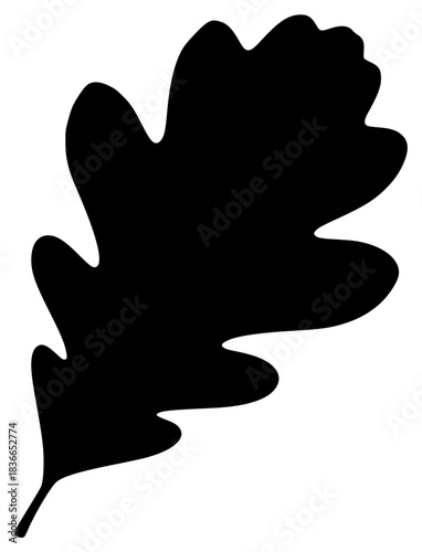 A black silhouette of an oak leaf on a , black, illustration, leaf, maple leaf, profile, against transparent background