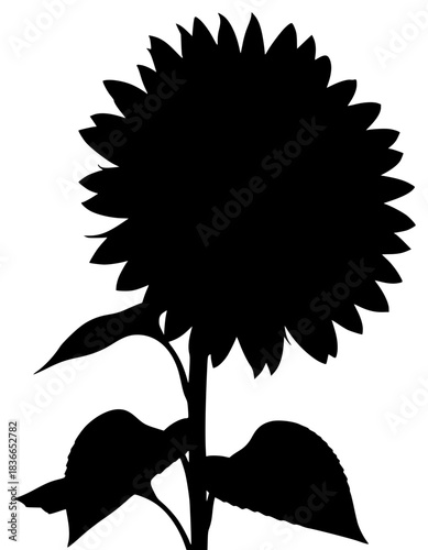 A black silhouette of a sunflower on a , black, flower, illustration, profile, stem, sunflower, against transparent background