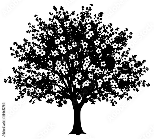 A black and white silhouette of a tree with flowers, black, daisy, flower, illustration, profile, tree, white, against transparent background