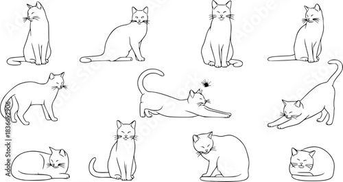 Minimalist cat outlines in various poses, perfect for pet lovers, art illustrations, and design projects. Elegant black outline on a stark white background