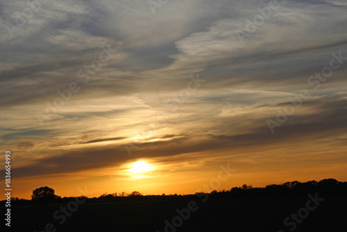 sunset over the field