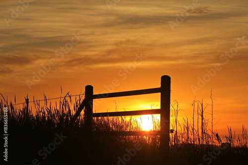 Sunset clouds fence silhouette farm 