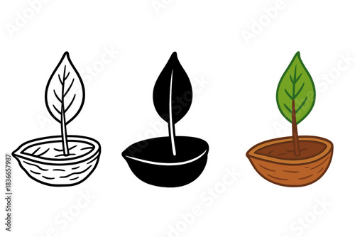 Walnut Shell Boat. Half walnut shell turned into miniature boat with twig mast and leaf sail, first in line style with thin