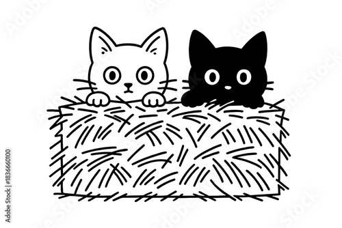Curious Kittens Peek. Two kittens hiding behind straw bale with curious glowing eyes, first in line style with thin outline,