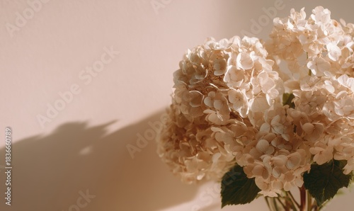 A bunch of white flowers in a vase