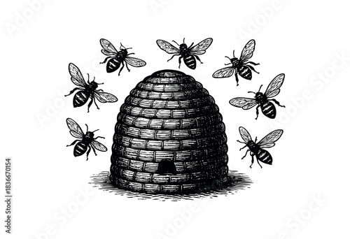 Vintage engraving style illustration of a beehive with surrounding bees — stock illustration.