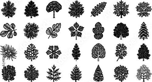 Black and White Hand-Drawn Nature Icons: Diverse Vector Set of Trees, Leaves, and Plants Silhouettes, ideal for Environment, Gardening, and Landscaping Industry Projects, featuring detailed line
