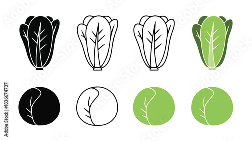 Chinese Cabbage Icon Set in Multiple Styles