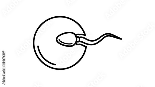 Vector Fertilization Icon – Ovum and Spermatozoon Flat Color Line Illustration