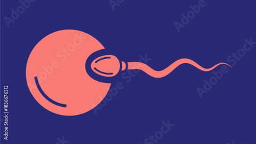 Vector Fertilization Icon – Ovum and Spermatozoon Flat Color Line Illustration