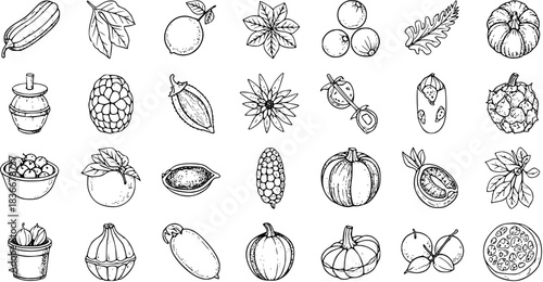 Hand-Drawn Black  White Vector Set of Fruits and Vegetables, Isolated Illustration for Autumn Harvest, Farm Market, Organic Food, Healthy Eating