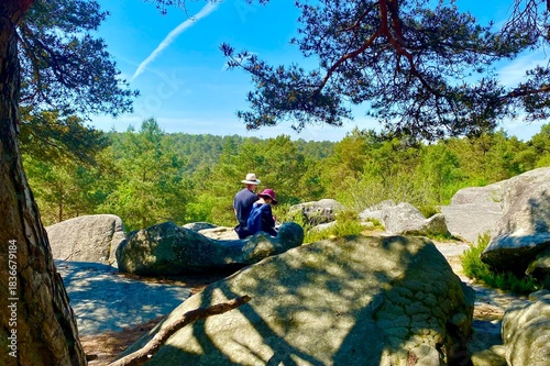 Beautiful view of the stony forest of Fontainebleau