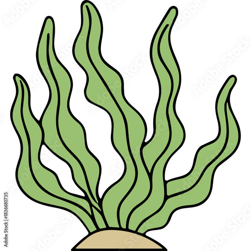 Illustration of flowing green kelp with a sandy base on a black background featuring distinct wavy fronds and smooth lines representing aquatic plant life
