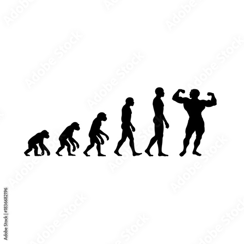 A symbolic representation of human evolution, illustrating the progression from primate to modern physique, emphasizing strength and development. vector illustration