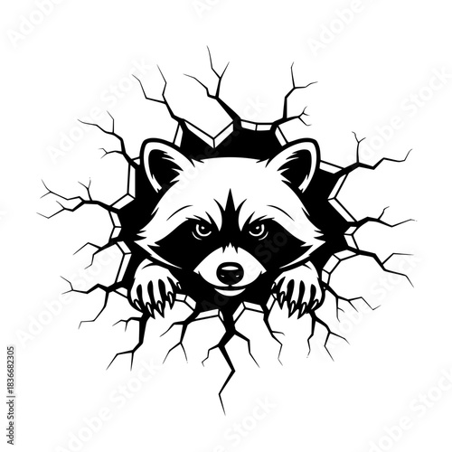 An illustrative, artistic view of a raccoon emerges dramatically from a wall, its expressive eyes capturing attention. vector illustration