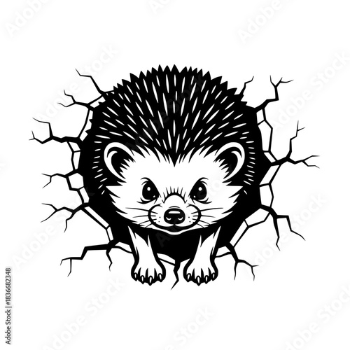A playful hedgehog bursts through a cracked surface, its quills erect, creating a striking black and white contrast. The image captures the curiosity of a hedgehog peering through a wall.