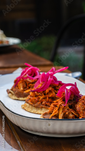 comida mexicana sope cochinita pibil tradicional con cebolla morada encurtida / Traditional cochinita pibil with pickled red onion