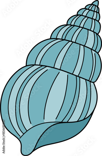 Hand-Drawn Light Blue Conical Seashell