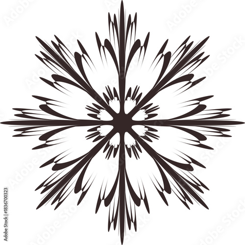 꽃 형태의 방사형 기하학 무늬