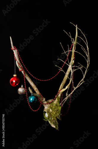 Antlers decorated with Christmas ornaments