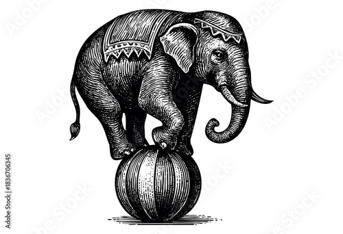 An Engraved Vintage Illustration of an Elephant Standing on a Ball — Stock Illustration.