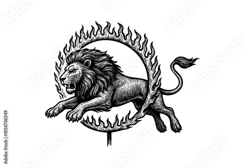Engraved Style Illustration of a Lion Jumping Through a Ring of Fire — Stock Vector.