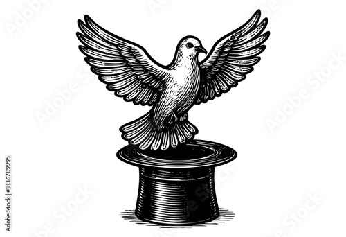 Engraved vector illustration of a dove emerging from a magician's hat with wings spread wide — stock illustration.