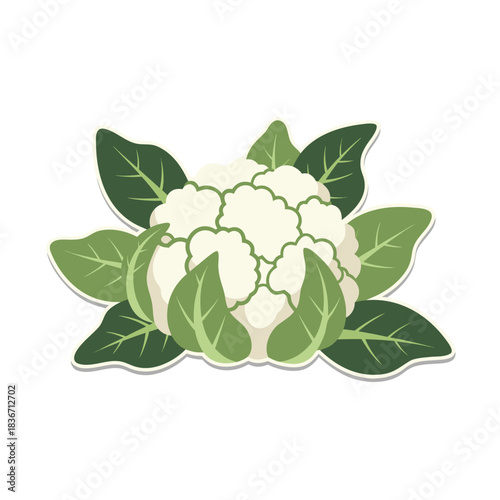 Pixel Art Cauliflower Vegetable with Green Leaves Isolated on Black Background Fresh Healthy Food Ingredient Minimalist Style