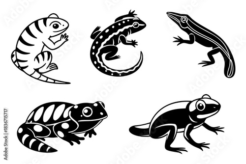 49---cute-amphibians-6-icon---frog--salamander--to