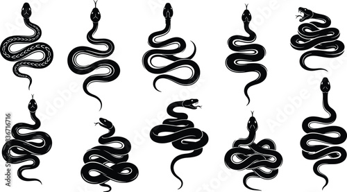 Set of black snake silhouettes, vector illustration of coiled serpents and vipers, isolated on white background, reptile collection for tattoo and logo design.