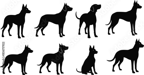 Set of black dog silhouettes, standing and sitting poses of shepherd and doberman breeds, vector illustration isolated on white background, pet animal collection.