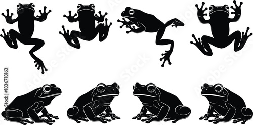 Set of black frog silhouettes, isolated vector illustration of amphibian toads, wild nature animal icons, climbing and sitting poses for logo design