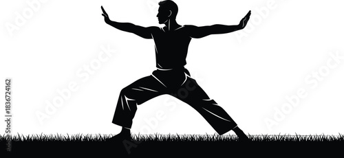 Black Silhouette of a Man Performing a Karate or Kung Fu Stance on Grass, Representing Martial Arts, Balance, Strength, Focus, and Discipline Training