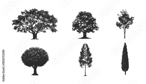 PNG silhouettes of trees on a background for architectural projects and models.