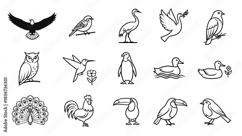 Obraz premium Collection of diverse bird species in minimalist line art style offering a variety of designs