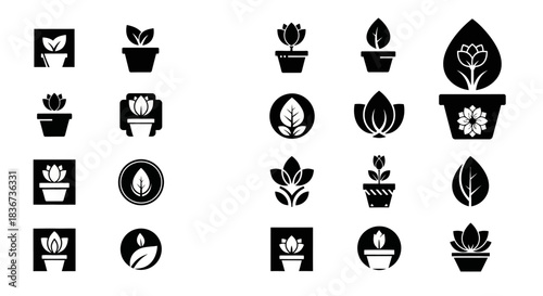 Collection of elegant black and white plant icons representing botany and nature themes