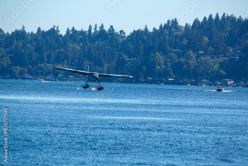A floatplane landing on Lake Washington in Kenmore on a sunny summer afternoon