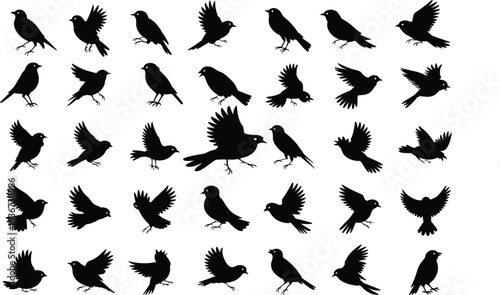 Black bird silhouettes in various flying and perching poses