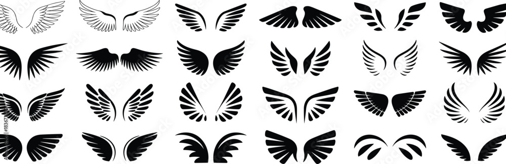 Naklejka premium Collection of black and white wing illustrations wings