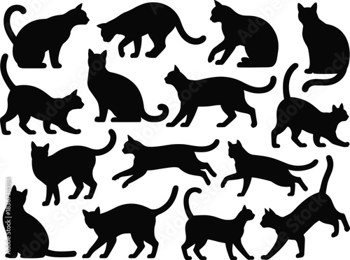 Silhouettes of cats in varied poses — feline motion, posture, and behavior reference for design, education, and illustration use