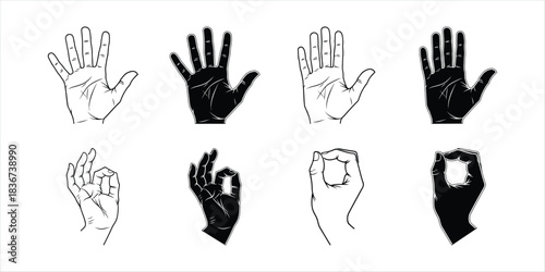 Collection of Diverse Hand Gestures Showing Open Palms and 'OK' Signs in Contrasting Styles