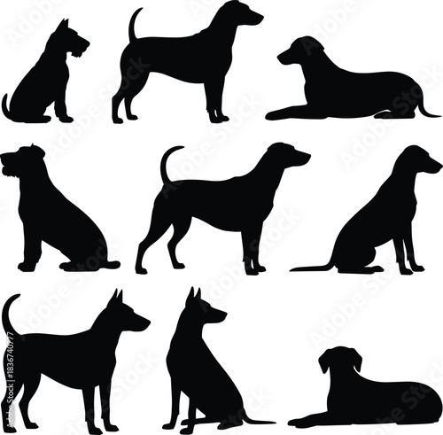 Silhouettes of dogs in varied poses and breeds — posture, gesture, and anatomy reference for design, education, and pet themes